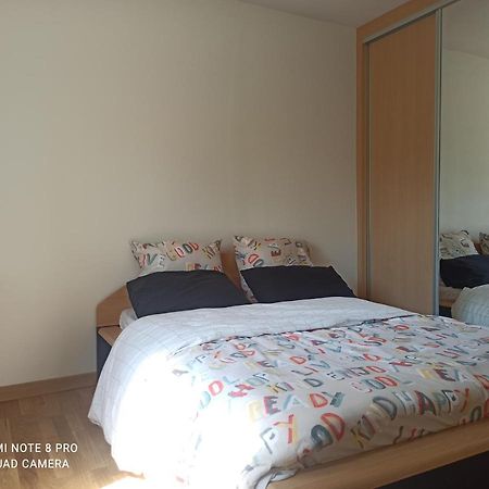 Super Appartement Avec Terasse Bischheim Esterno foto
