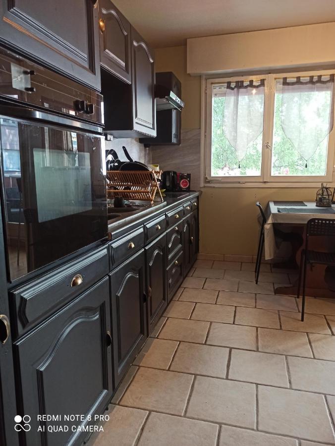 Super Appartement Avec Terasse Bischheim Esterno foto
