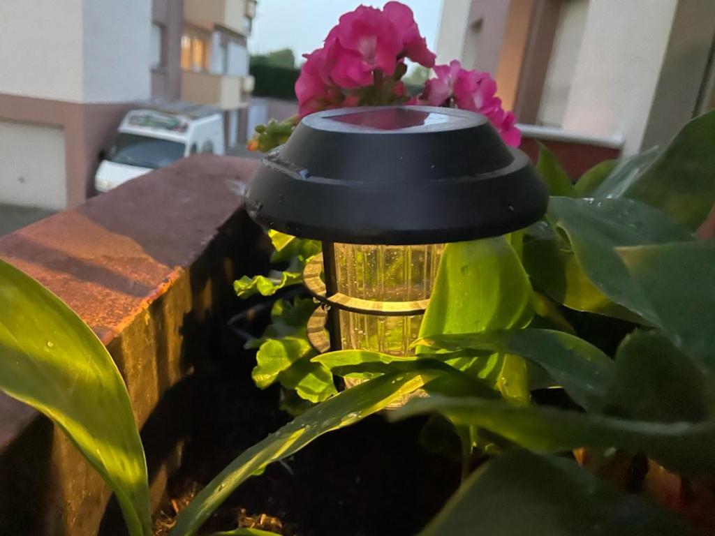Super Appartement Avec Terasse Bischheim Esterno foto